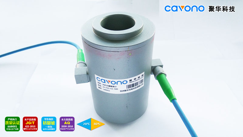 JH-FGS-G1 光纖光柵錨索計